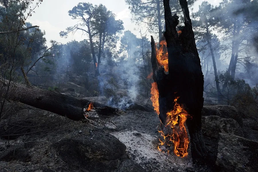 incendio